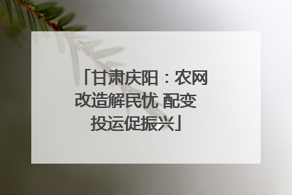甘肃庆阳：农网改造解民忧 配变投运促振兴